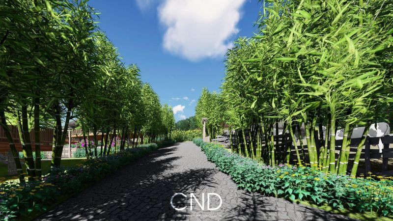 CND Landscape
