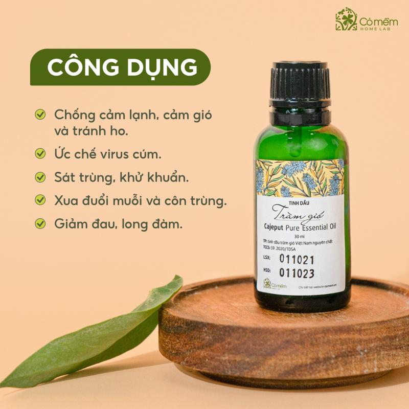 Cỏ Mềm