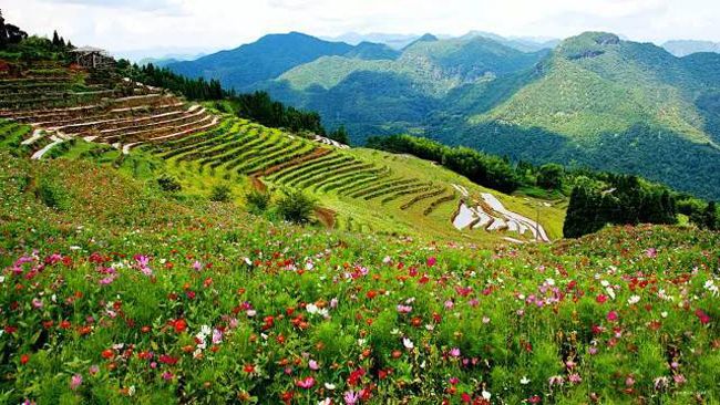 Đối với các đôi tình nhân, địa điểm này khá lí tưởng để họ hàn huyên tâm sự
