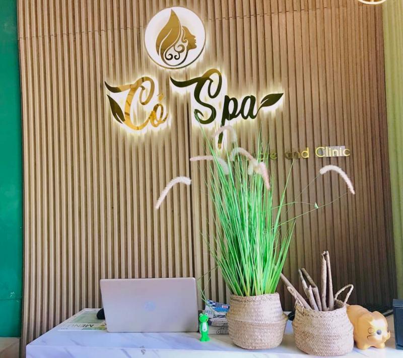 Cỏ Spa
