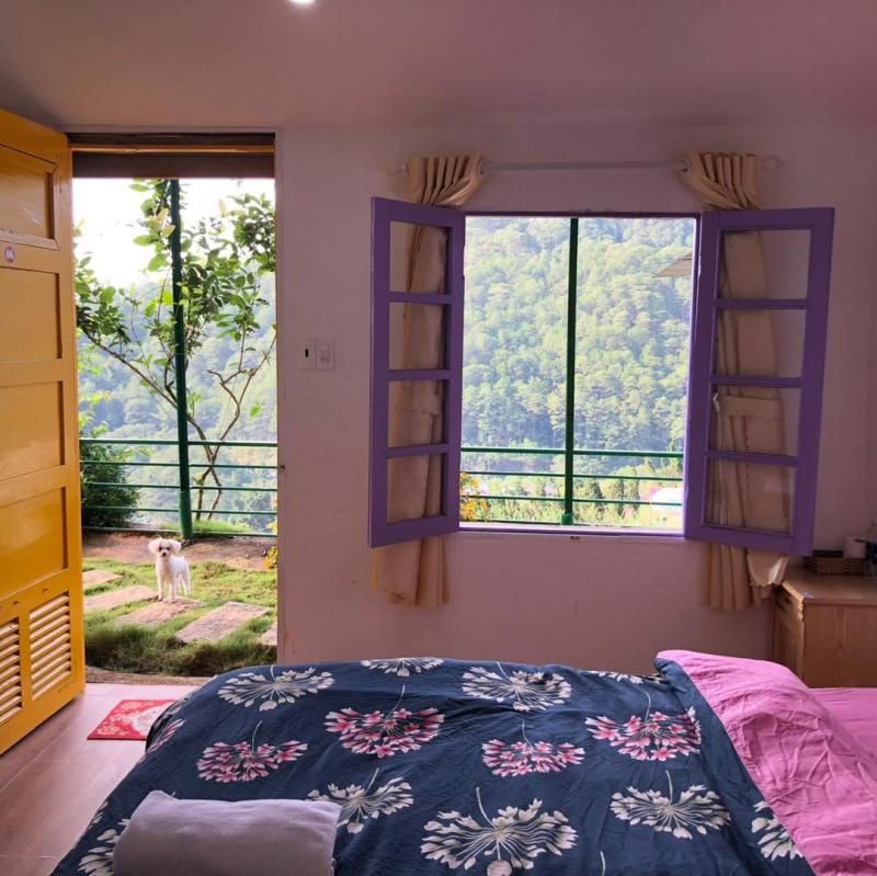 Cối Xay Gió Homestay and Coffee