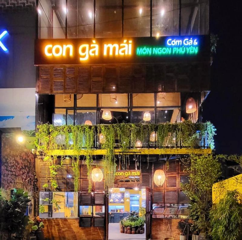 Con Gà Mái - Cơm Gà Phú Yên