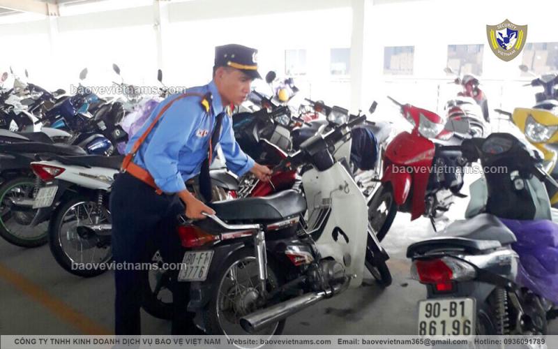 Công ty Bảo vệ Việt Nam