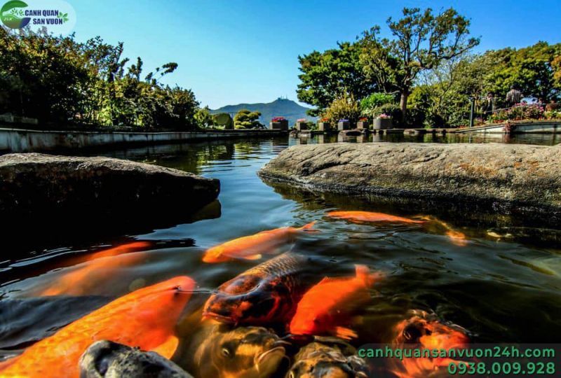 Cảnh Quan Sân Vườn 24h