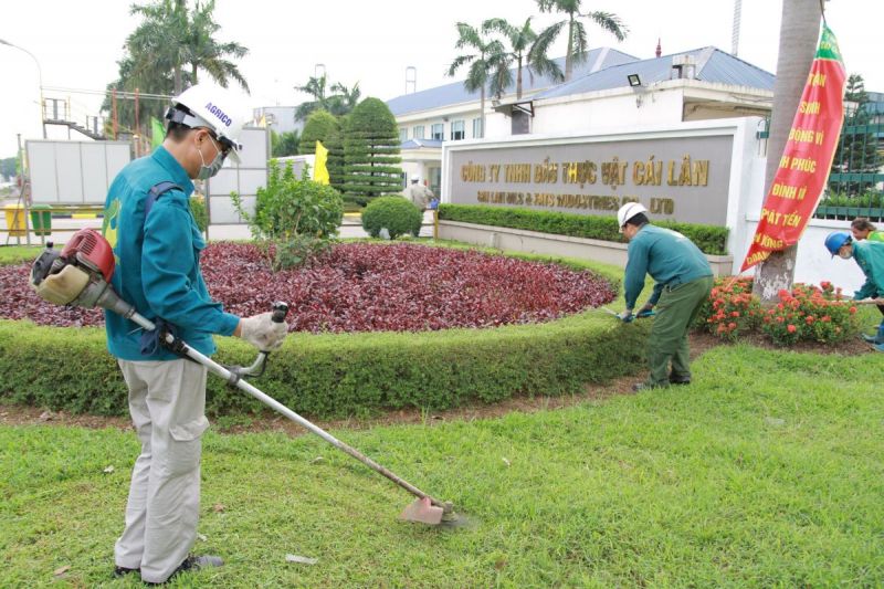 Công ty cổ phần đầu tư xây dựng và môi trường Vinatrees