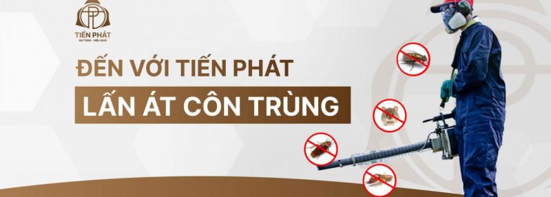 Công Ty Diệt Mối Côn Trùng Tiến Phát