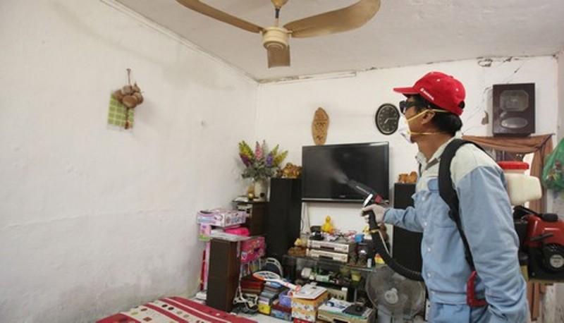 Công ty phun thuốc diệt muỗi hiệu quả Đại Việt