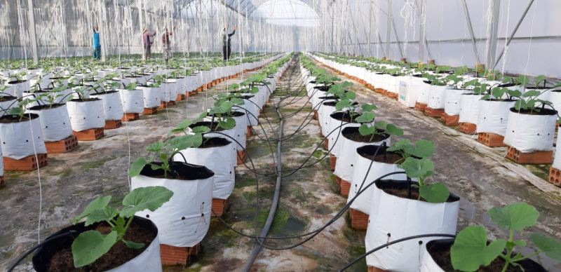 Công ty TNHH Công nghệ VHL