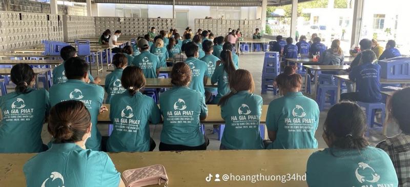 Công Ty TNHH Cung Ứng Nhân Lực Hà Gia Phát
