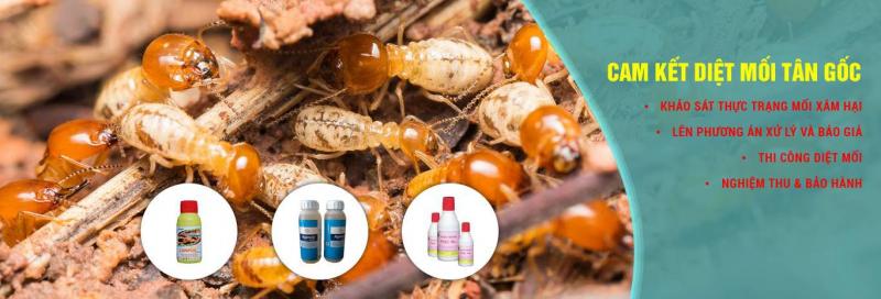 Công ty TNHH Diệt Mối Nhanh