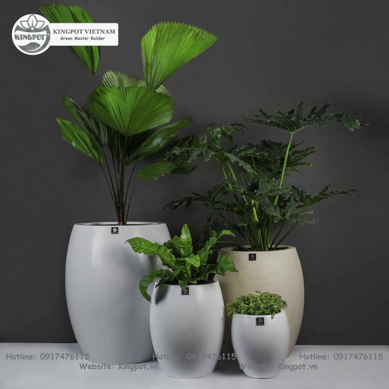Công ty TNHH Kingpot Việt Nam