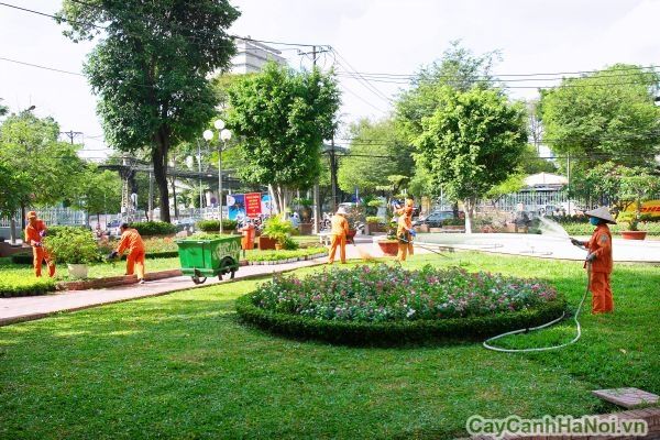Công ty TNHH MTV Cây cảnh Hà Nội