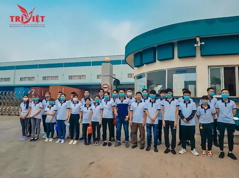 Công ty TNHH TM&DV Nhân Lực Trí Việt
