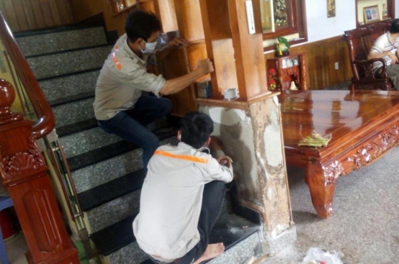 Dịch vụ diệt mối của Công ty TNHH trừ mối Đại Việt