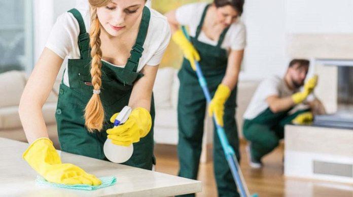 Công ty TNHH tư vấn và cung cấp dịch vụ Xanh