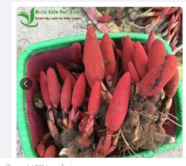 Cty TNHH Trà Thảo Dược Tuệ Tâm