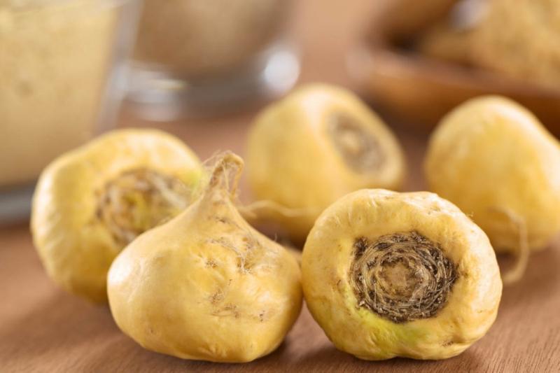 Củ maca cải thiện các triệu chứng của thời kỳ mãn kinh