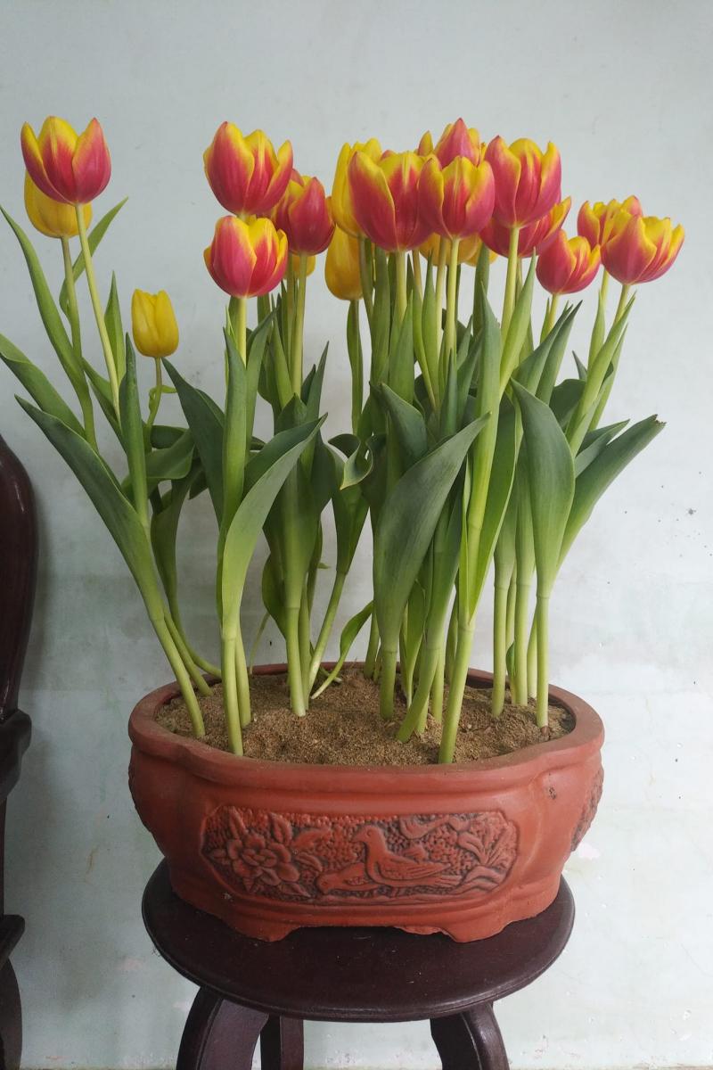 Cửa hàng Nông Nghiệp Xanh
