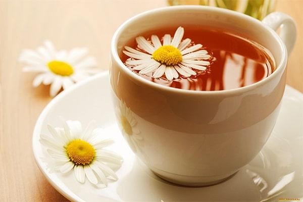 Cúc thơm (Feverfew)