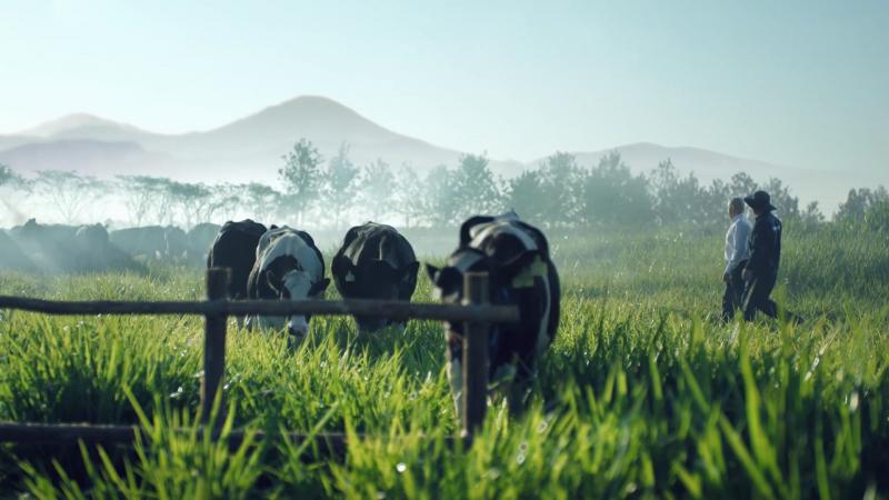 Đà Lạt Milk