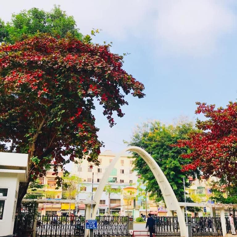 Đại học Bách Khoa