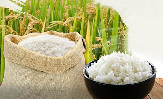 Đại lý Hương Gạo Đà Nẵng