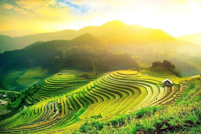 Dàn ý chi tiết bài 