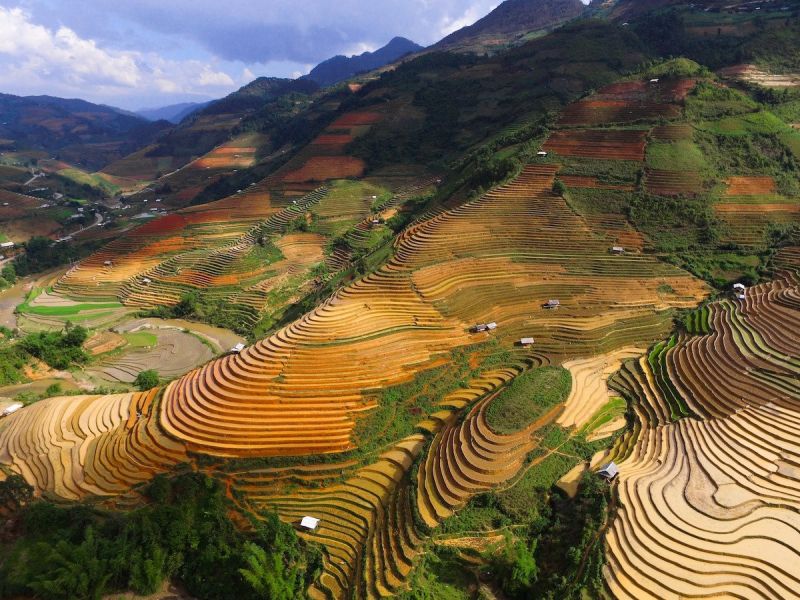 Dàn ý phân tích bài thơ 