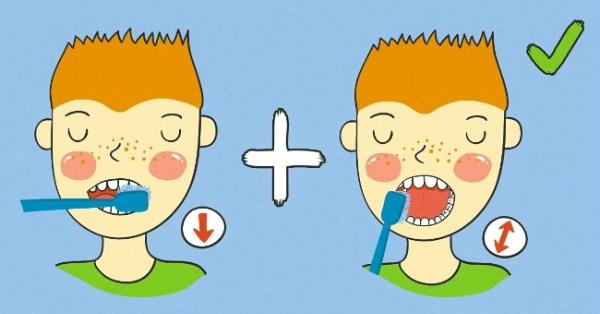 Thực hiện đánh răng theo chiều dọc vào xoay bàn chải khi đánh