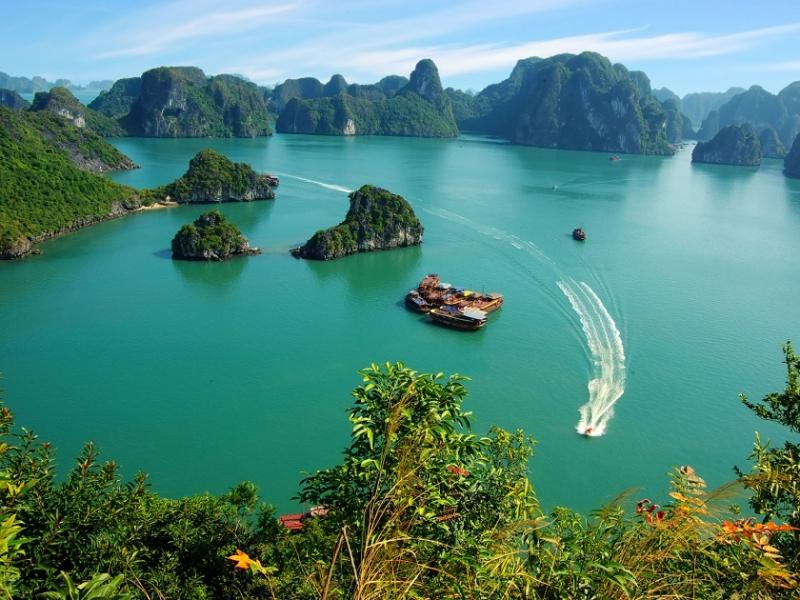 Đảo Cát Bà