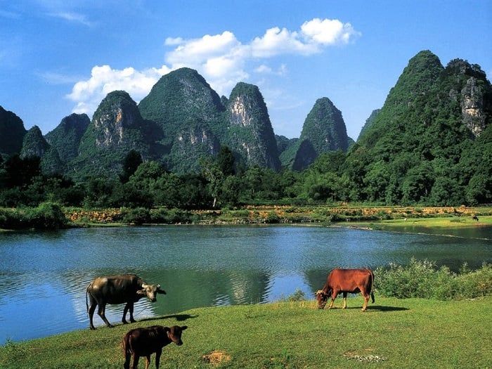 Đập Vệ Vừng