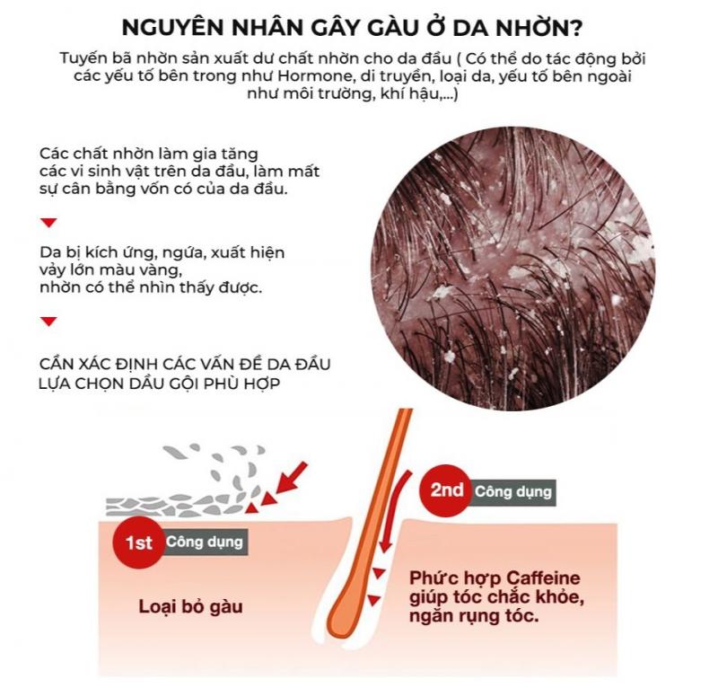 Dầu gội Caffeine Alpecin Double Effect