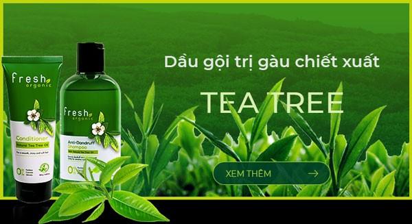 Dầu gội Fresh Organic