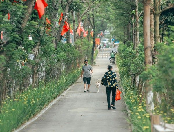 Đi tản bộ