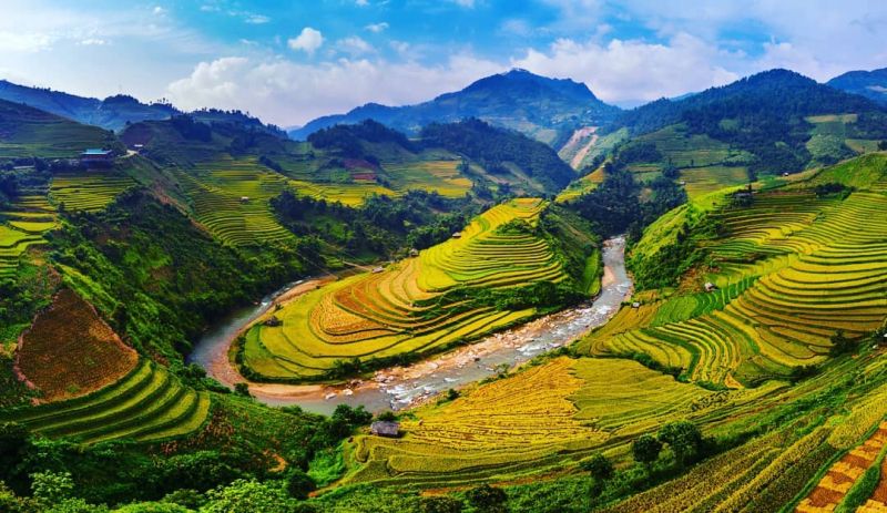 Bài văn thuyết minh về ruộng bậc thang Mù Cang Chải - Bài số 3