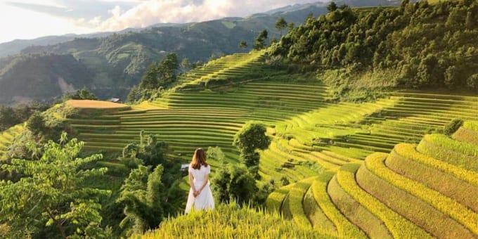 Bài văn thuyết minh về ruộng bậc thang Mù Cang Chải - Bài số 4