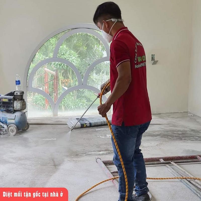 Dịch vụ diệt kiến Thành Công