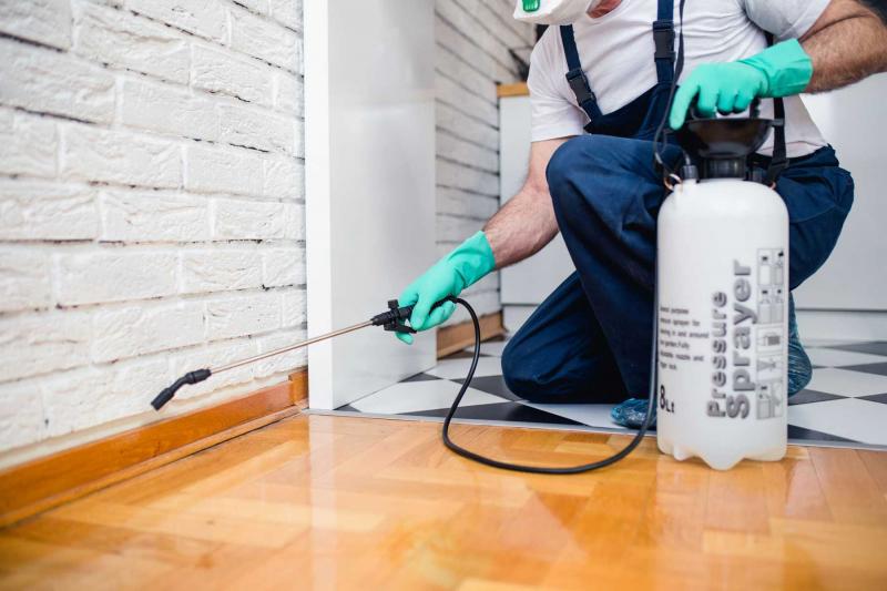 Công ty TNHH Diệt mối Thành Nhân