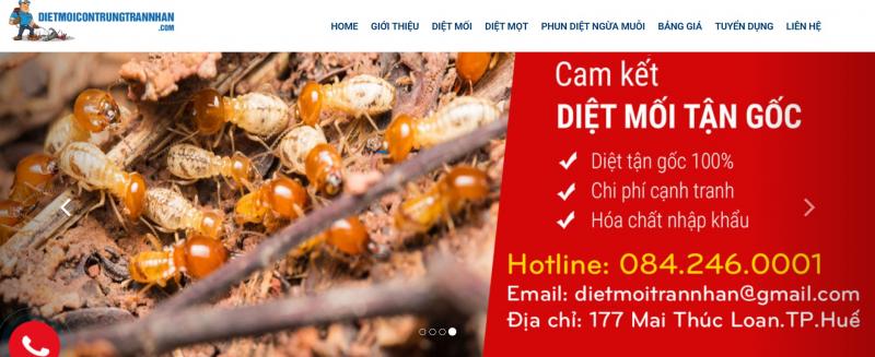 Dịch vụ diệt Mối và Côn trùng Trần Nhân