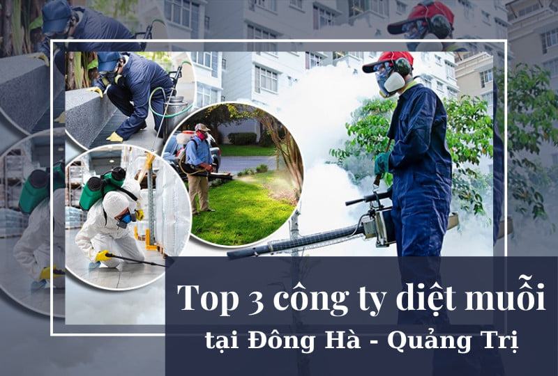 Diệt Mối Long Quân
