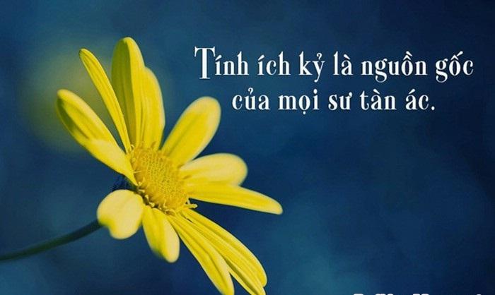 Đoạn văn nghị luận số 4