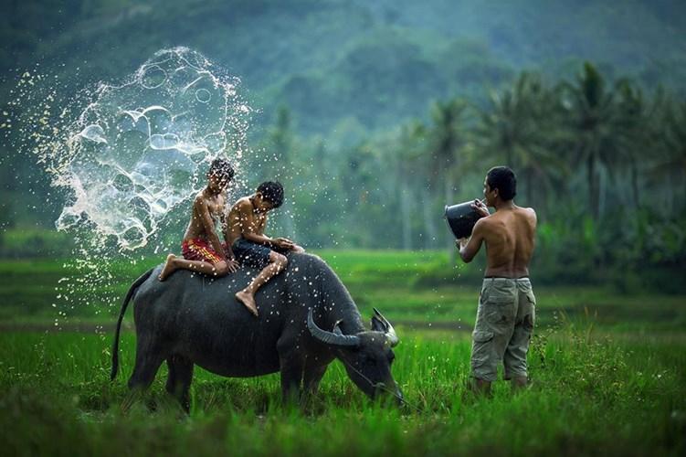 Ảnh minh họa Chu Minh Khôi