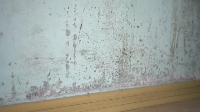 Đối với các vết bẩn do các loại nước có màu gây ra