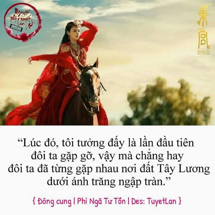Đông cung - Phỉ Ngã Tư Tồn