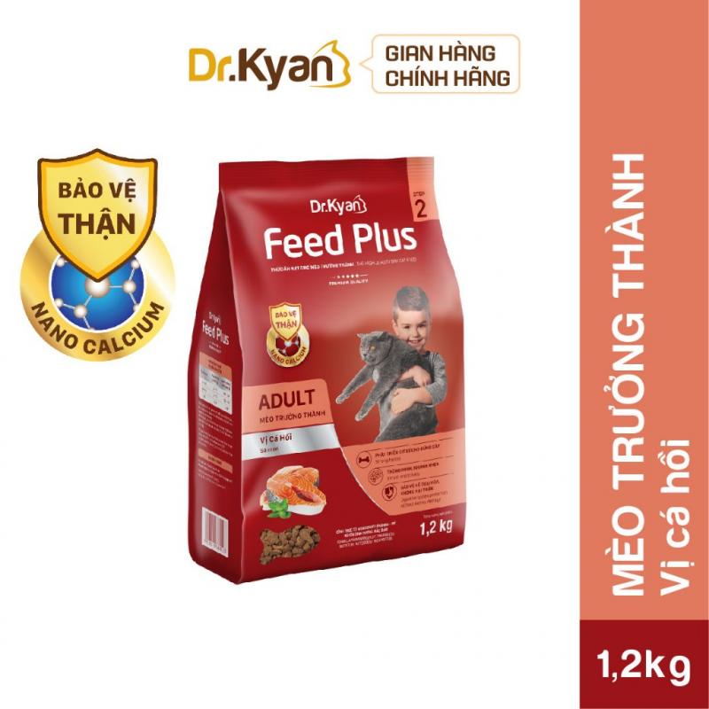 Dr.Kyan