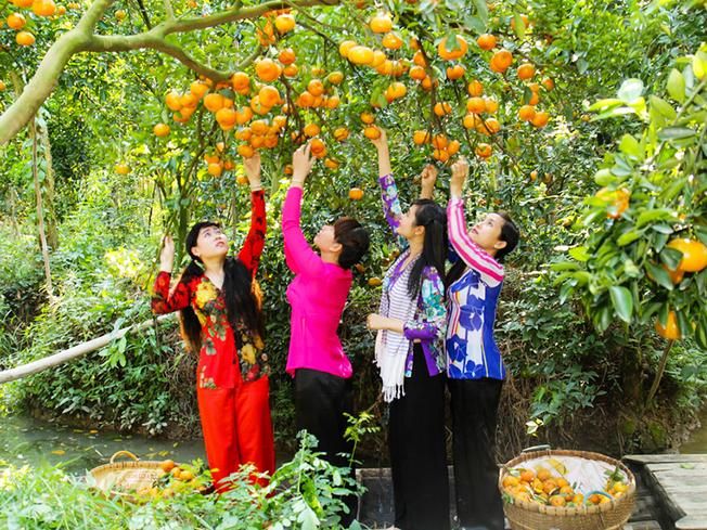 Du Lịch Miệt Vườn