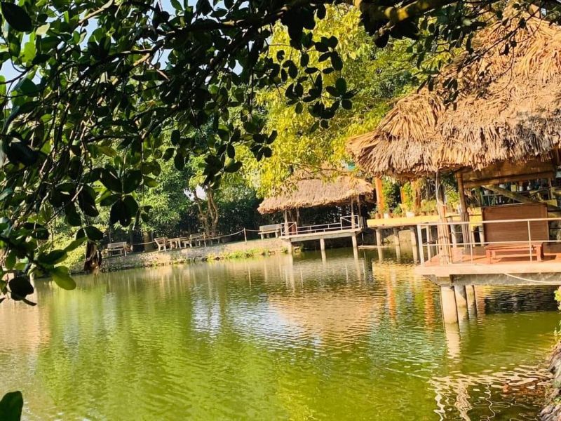Du Lịch Sinh Thái Vườn Xoài