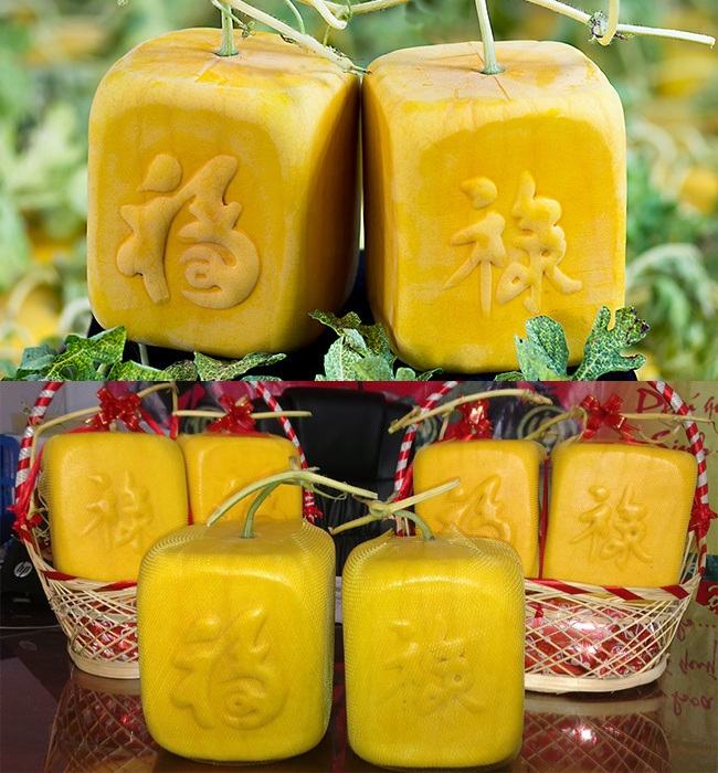 Dưa hấu vuông