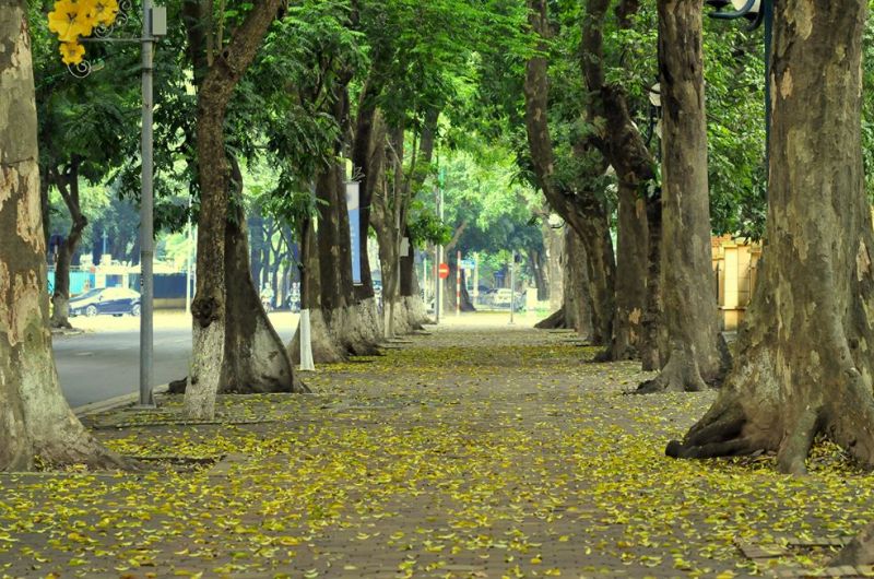 Đường Phan Đình Phùng