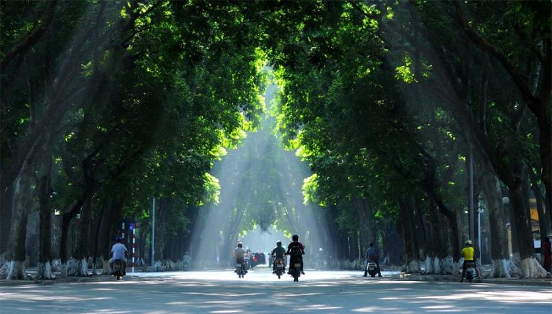 Nhớ về Hà Nội vàng son